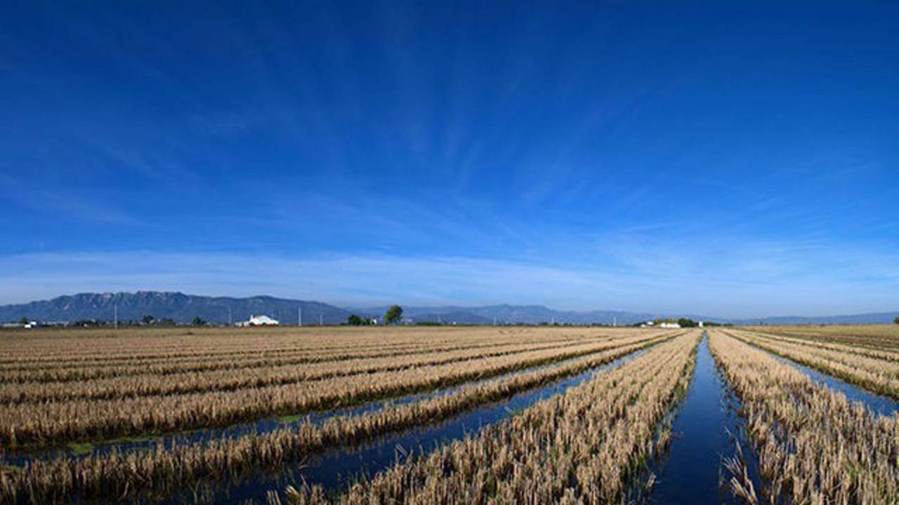 Mi Apartamento En El Delta Del Ebro+ Deltebre Exterior photo