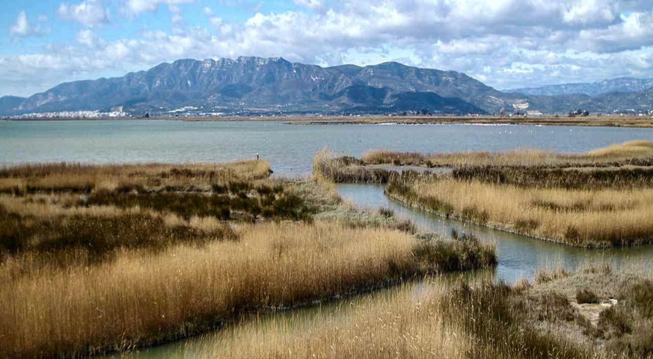 Mi Apartamento En El Delta Del Ebro+ Deltebre Exterior photo