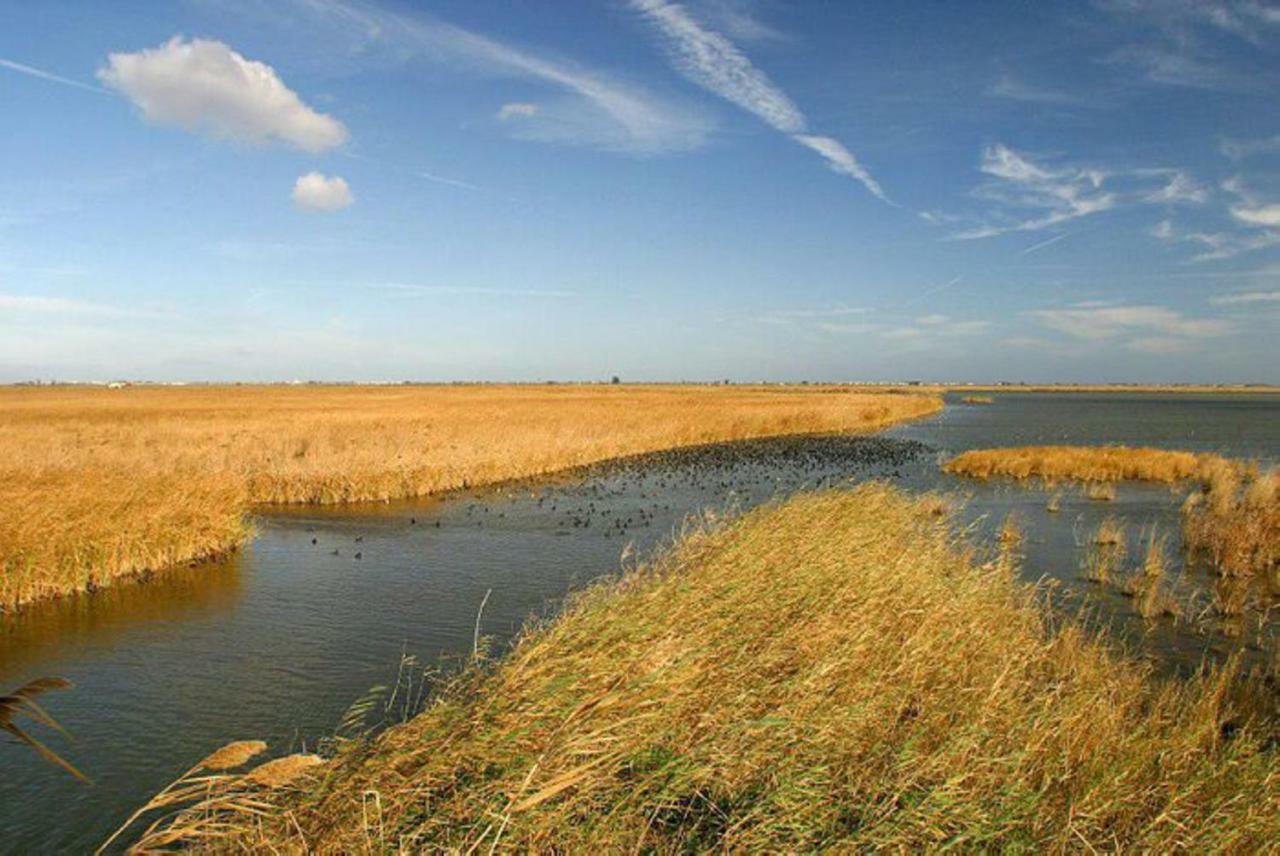 Mi Apartamento En El Delta Del Ebro+ Deltebre Exterior photo