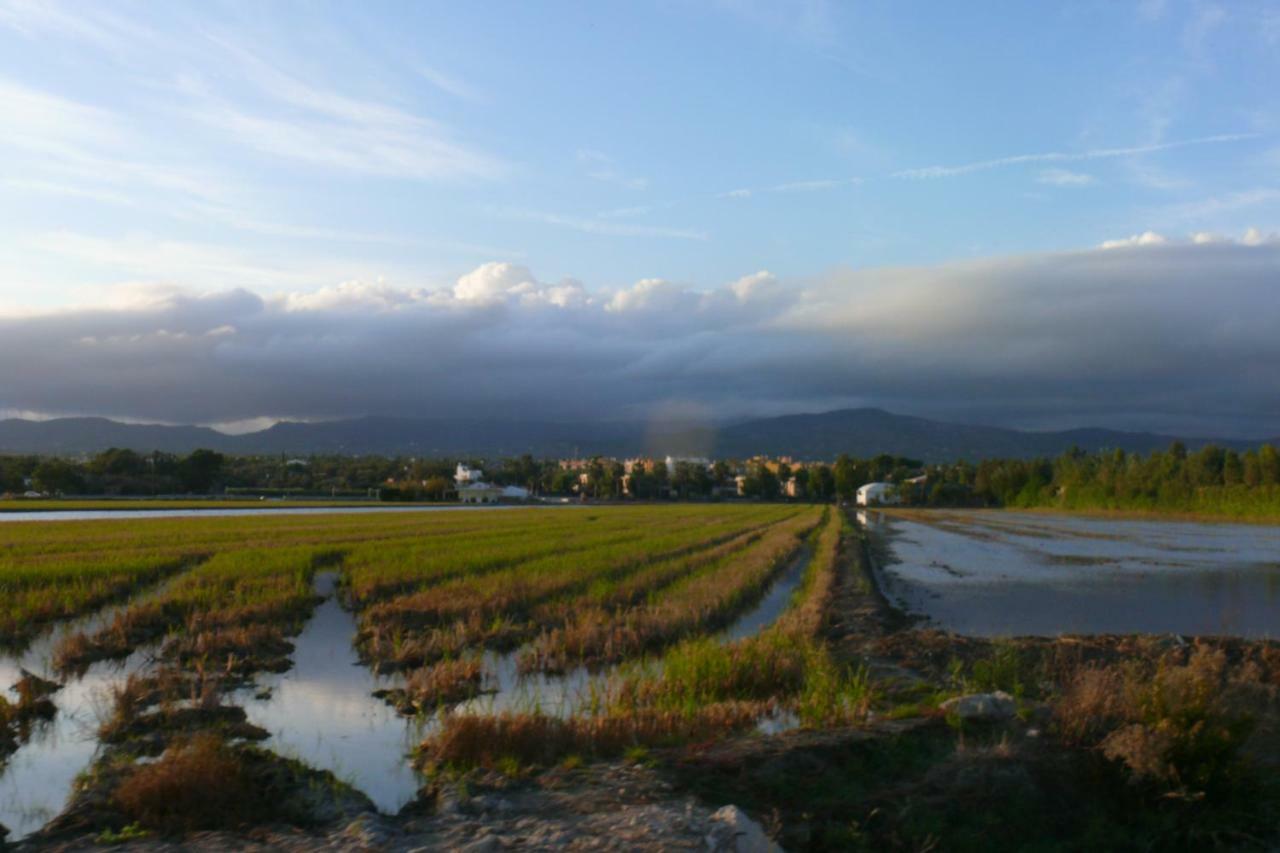 Mi Apartamento En El Delta Del Ebro+ Deltebre Exterior photo